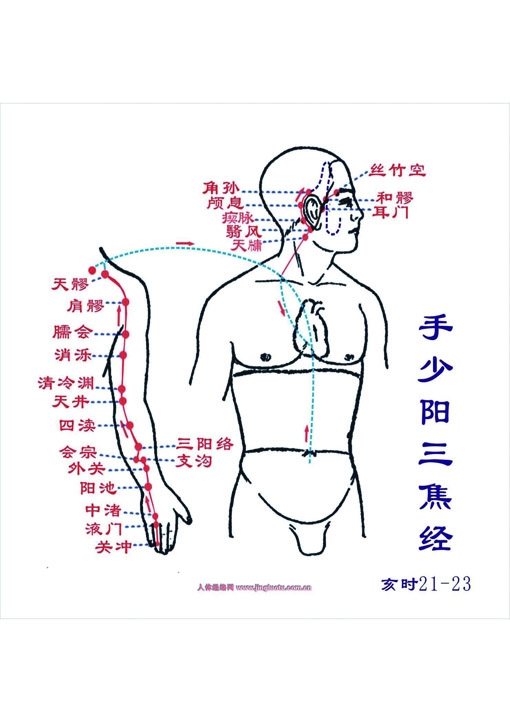 十四经络与健身气功(三)